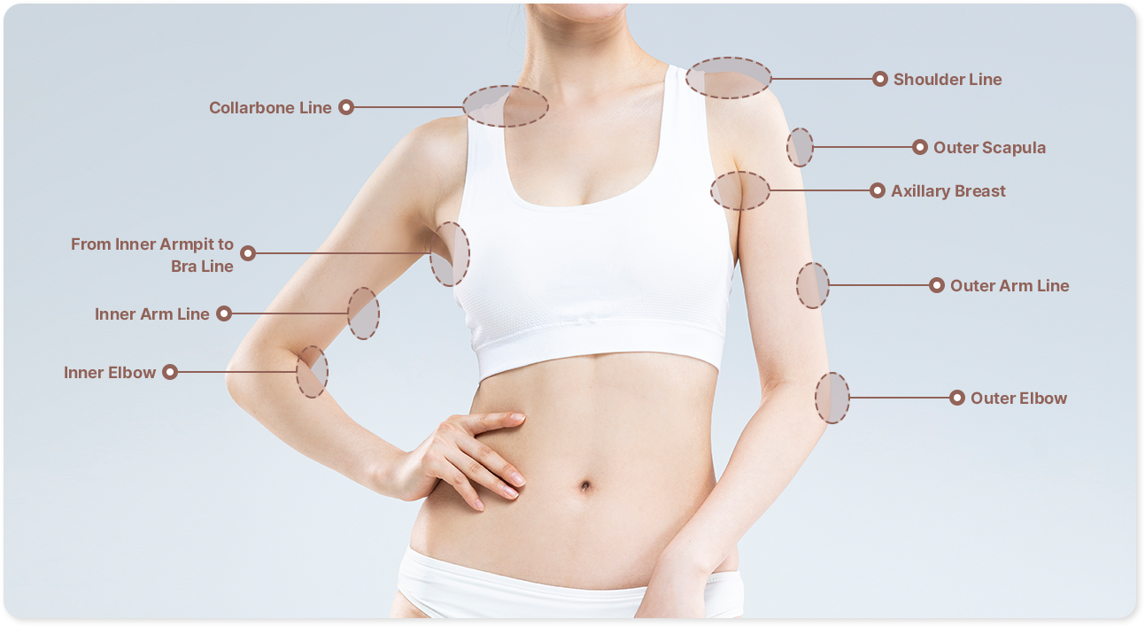 Collarbone Line, From Inner Armpit to Bra Line, Inner Arm Line, Inner Elbow, Shoulder Line, Outer Scapula, Axillary Breast, Outer Arm Line, Outer Elbow